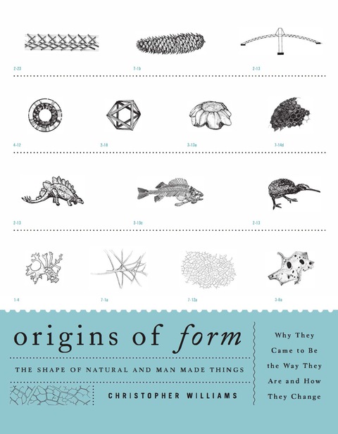 Cover image for book Origins of Form