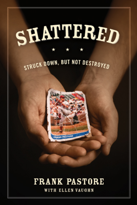 Cover image for book Shattered