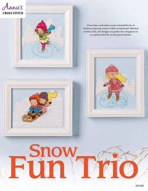 Cover image for book Snow Fun Trio