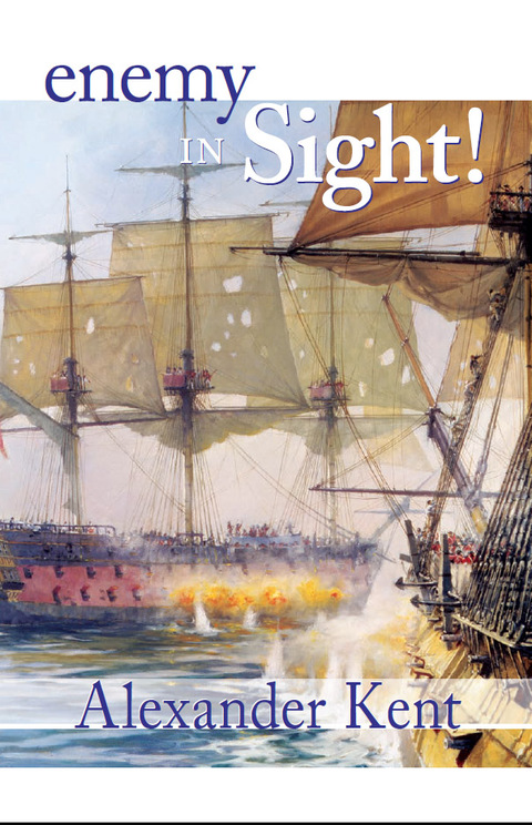 Cover image for book Enemy in Sight!