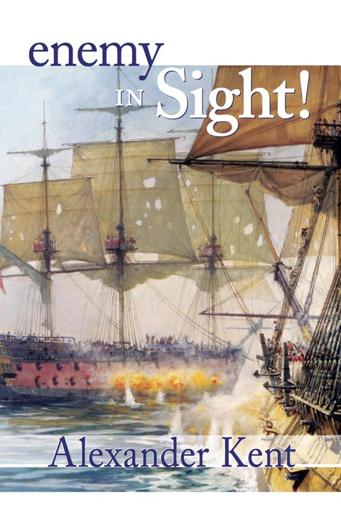 Cover image for book Enemy in Sight!