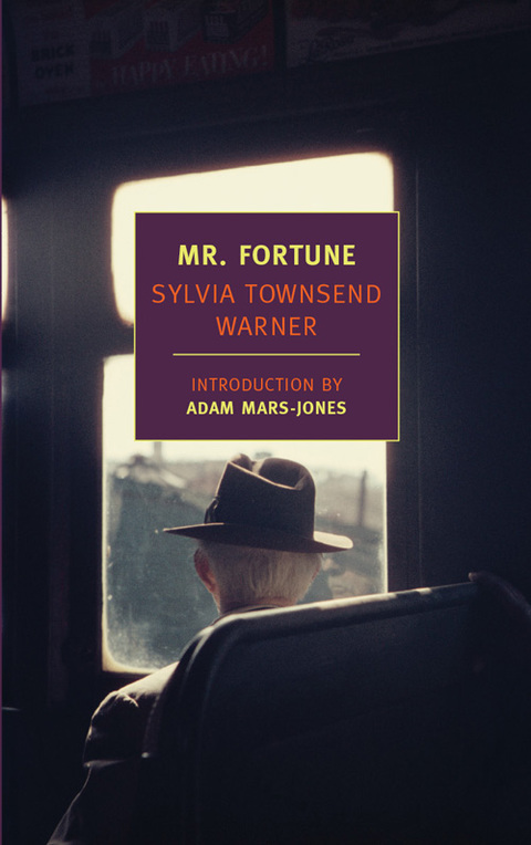 Cover image for book Mr. Fortune