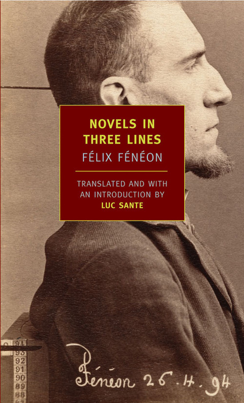 Cover image for book Novels in Three Lines