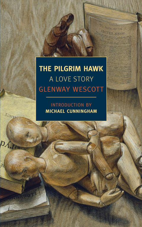 Cover image for book The Pilgrim Hawk