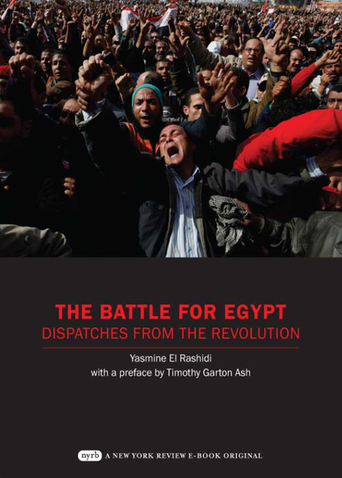 Cover image for book The Battle for Egypt