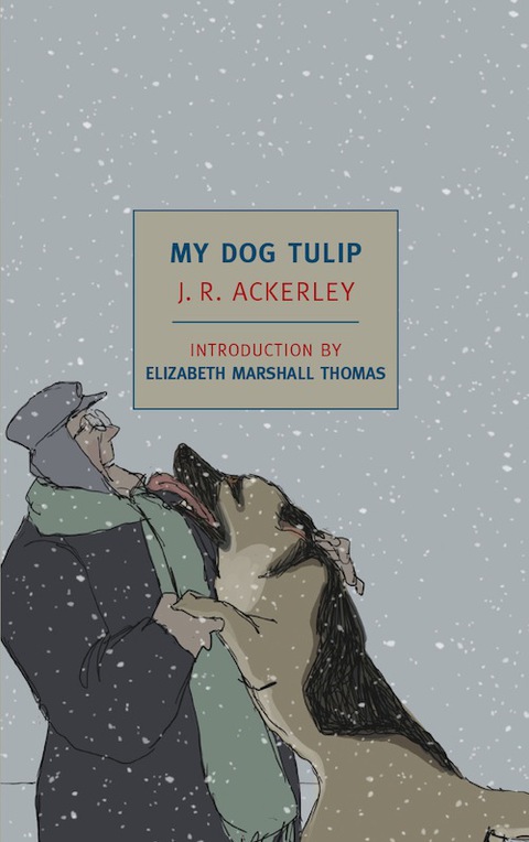 Cover image for book My Dog Tulip