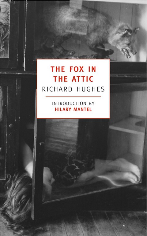 Cover image for book The Fox in the Attic