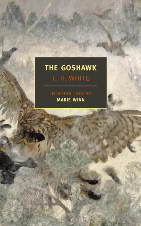 Cover image for book The Goshawk