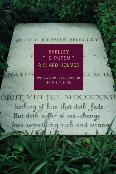 Cover image for book Shelley: The Pursuit
