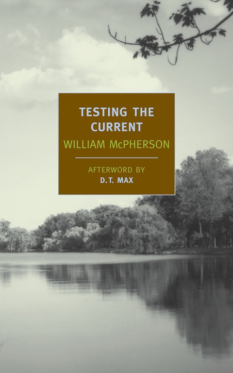 Cover image for book Testing the Current