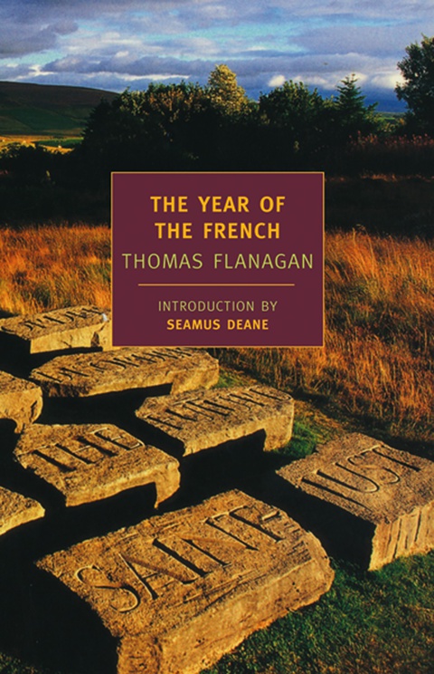 Cover image for book The Year of the French