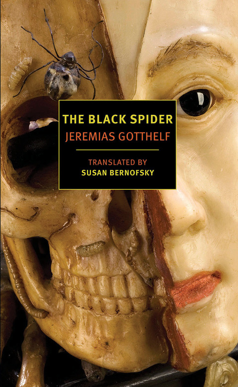Cover image for book The Black Spider