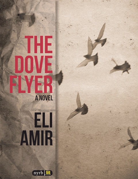 Cover image for book The Dove Flyer