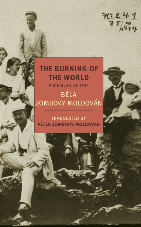 Cover image for book The Burning of the World