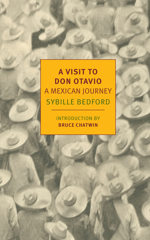 Cover image for book A Visit to Don Otavio