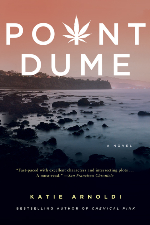Cover image for book Point Dume
