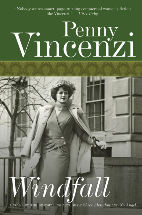 Cover image for book Windfall