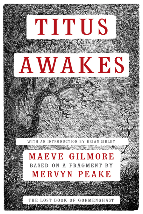 Cover image for book Titus Awakes