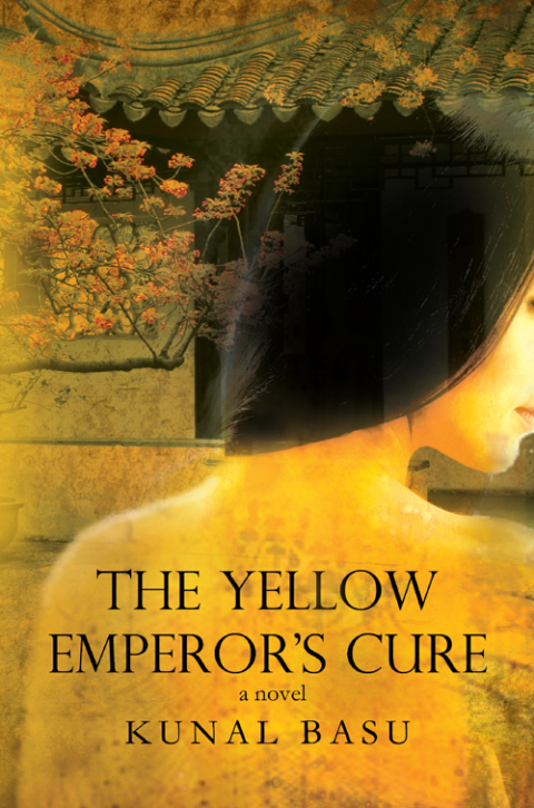 Cover image for book Yellow Emperor's Cure