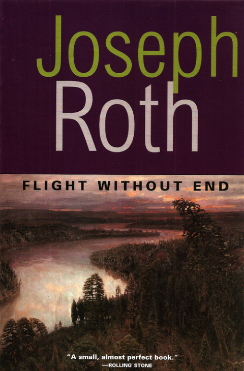 Cover image for book Flight Without End