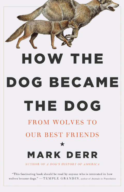 Cover image for book How the Dog Became the Dog