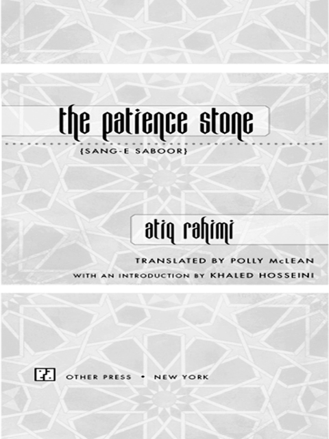 Cover image for book The Patience Stone