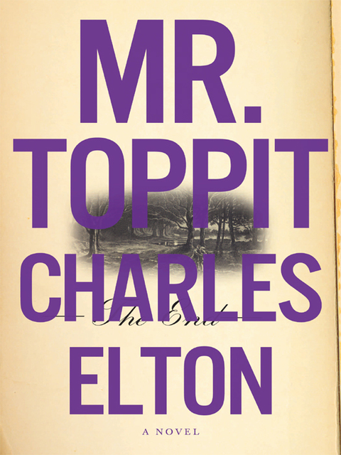 Cover image for book Mr. Toppit
