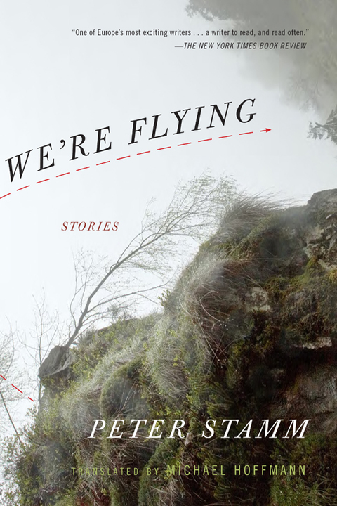 Cover image for book We're Flying