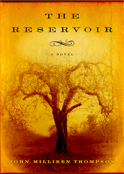 Cover image for book The Reservoir