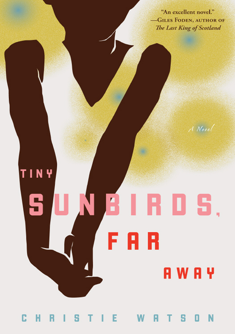 Cover image for book Tiny Sunbirds, Far Away