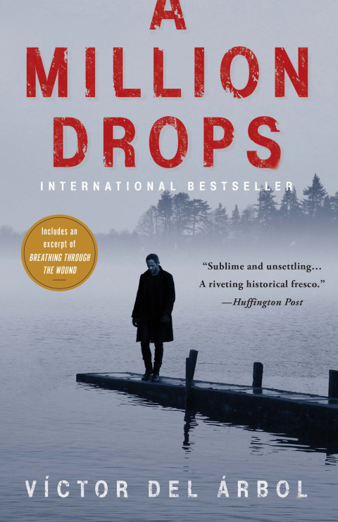 Cover image for book A Million Drops