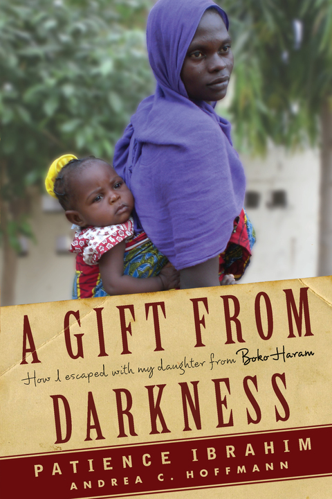 Cover image for book A Gift from Darkness