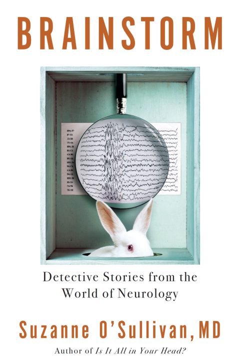 Cover image for book Brainstorm