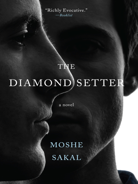 Cover image for book The Diamond Setter