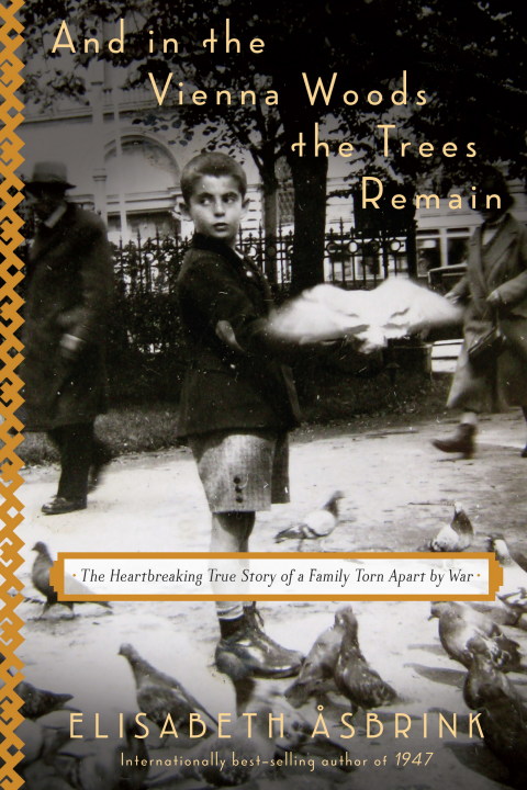 Cover image for book And in the Vienna Woods the Trees Remain
