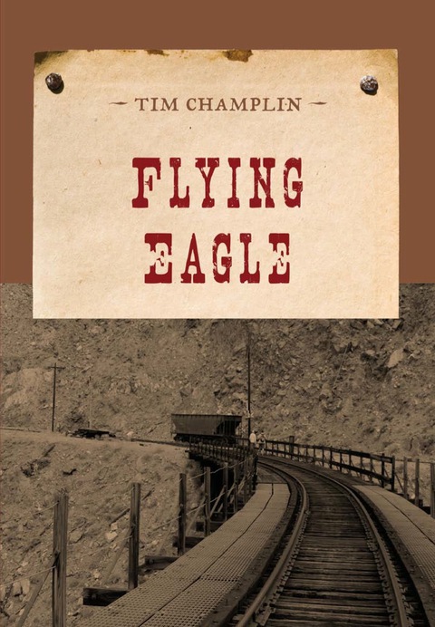 Cover image for book Flying Eagle