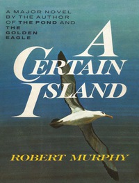 Cover image: A Certain Island 9781590773246