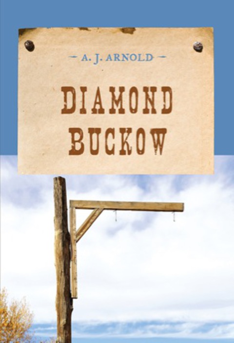 Cover image for book Diamond Buckow