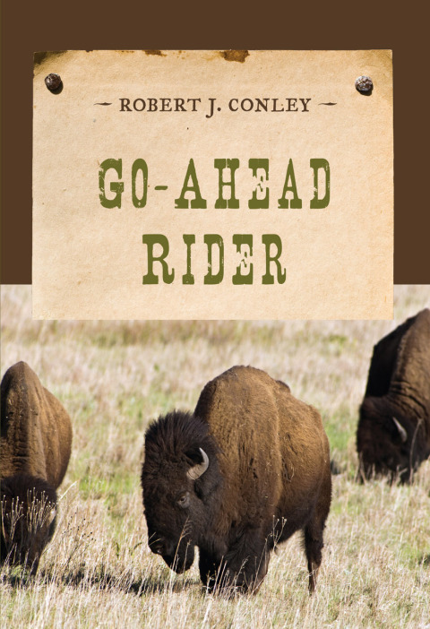 Cover image for book Go-Ahead Rider
