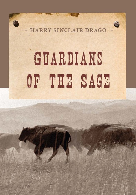 Cover image for book Guardians of the Sage