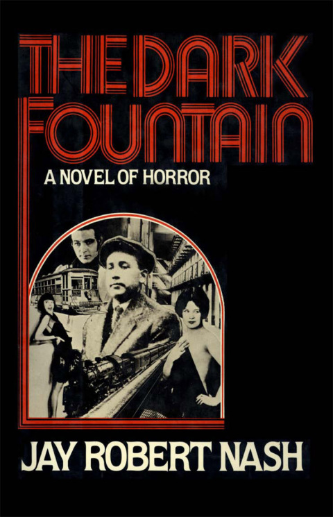 Cover image for book The Dark Fountain