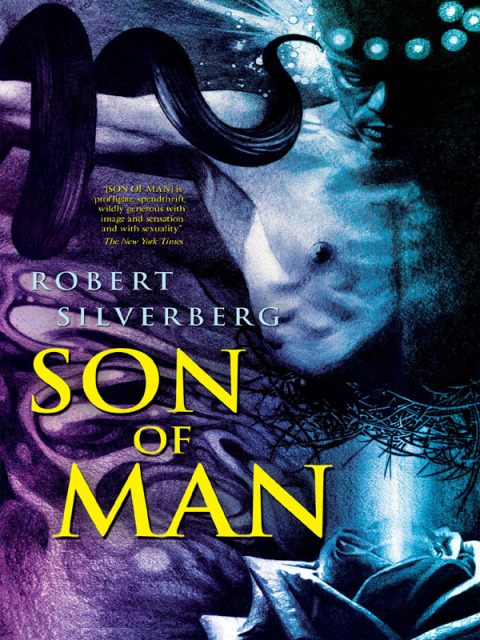 Cover image for book Son of Man