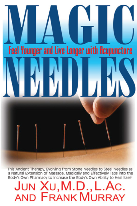 Cover image for book Magic Needles
