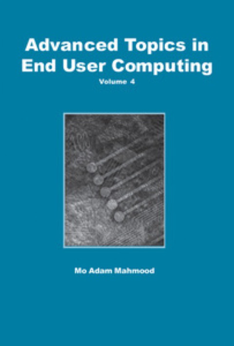 Cover image for book Advanced Topics in End User Computing, Volume 4