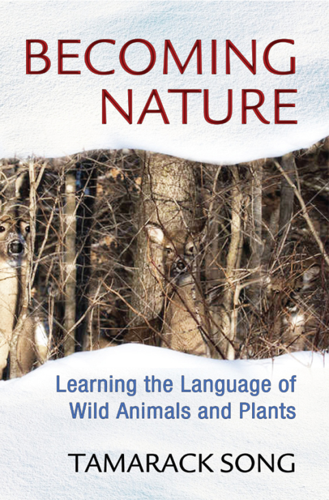 Cover image for book Becoming Nature