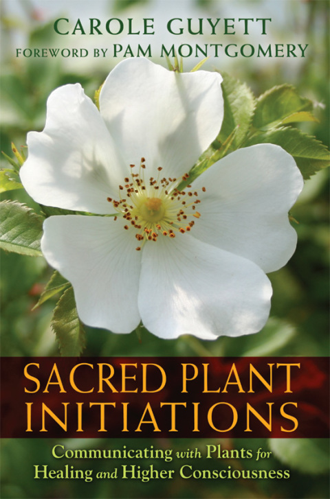 Cover image for book Sacred Plant Initiations