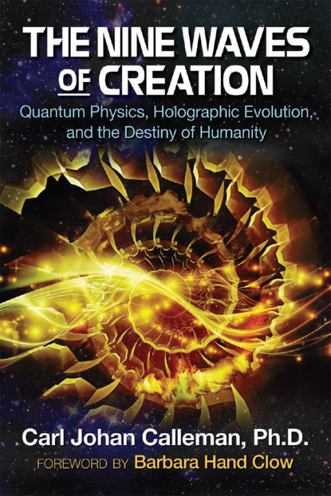 Cover image for book The Nine Waves of Creation