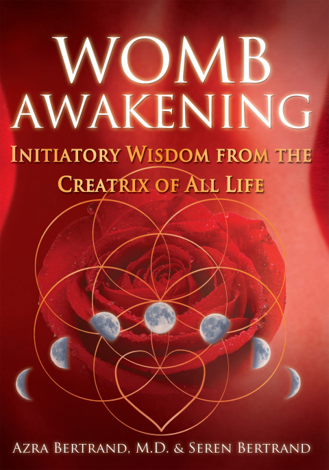 Cover image for book Womb Awakening