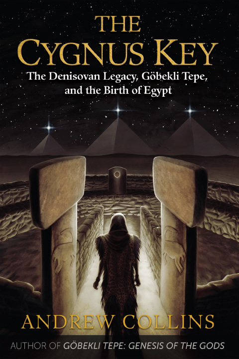Cover image for book The Cygnus Key