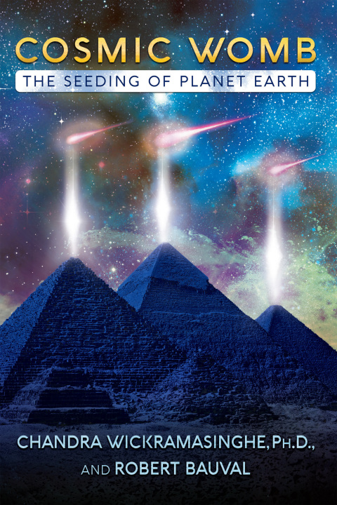 Cover image for book Cosmic Womb